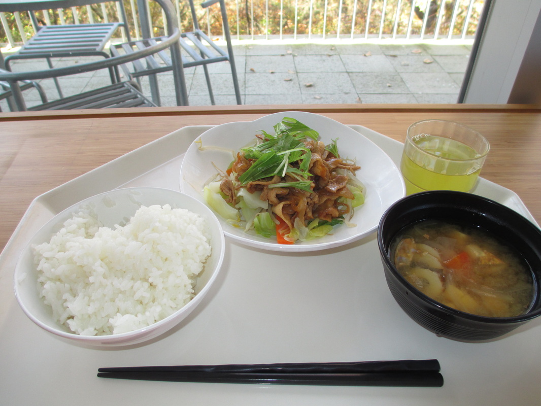 tokyo zokei university cafeteria